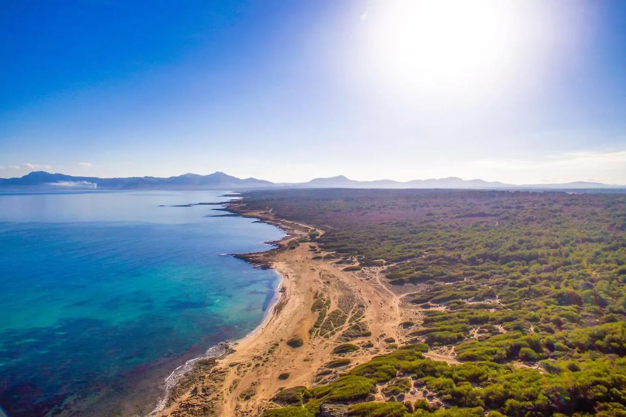 Ideal Property Mallorca - Casa Catalina Villa Can Picafort  Holiday home